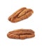 Single pecan nut isolated