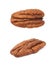 Single pecan nut isolated