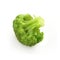 Single piece of broccoli isolated on a white backround with shadow