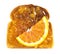 Single Piece of Wheat Bread Toasted with Orange Marmalade Isolated on a White Background