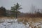 Single pine tree and wooden bridge on heathland countryside after snow