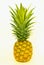 Single pineapple