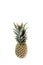 Single pineapple isolated on white background. Pineapple fruit whole. Pineapple Clipping Path.