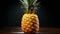 a single pineapple slice a healthy snack on a dark background