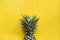 Single pineapple with yellow background