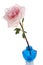 Single pink rose in blue vase
