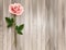 Single pink rose on an old wooden background.