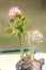 Single pink rose stands in a test tube decorated with gypsophila and blurred green background