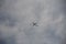 A single plane is seen from below as it tries to pass the thick clouds on a dark summer day