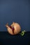 A single pomegranate fruit on black background