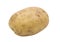 Single potato isolated