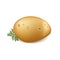 Single potato with parsley leaves