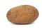 Single potato tuber isolated on white background, close-up