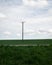 A single power line pole stands tall above the green fields in the southern Sweden landscape called SkÃ¥ne