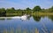 Single private water sports motorboat on the river maas - Arcen (Venlo), Limburg, Netherlands