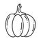 Single pumpkin doodle illustration
