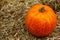 Single Pumpkin on Haystack Farm Decoration Autumn Fall Seasonal