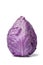 Single Purple pointed cabbage