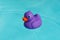 A single purple rubber duck