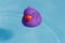 A single purple rubber duck