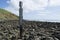 Single Pylon Pillar Post, Jetty Ruins, Myponga Beach, South Australia