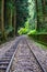 Single railway in a secluded rainforest