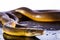 Single Rainbow Serpent Water Python - Liasis fuscus - o