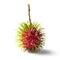 Single rambutan isolated