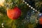 Single red Christmas ball hanging on tree, as the substrate and background