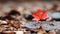 a single red maple leaf sits on top of a pile of fallen leaves