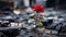 a single red rose growing out of a pile of rubble