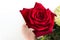 A single red rose is isolated in a flower bouqet. Downward angle viewpoint