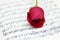 Single red rose on musical notes page