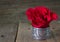 Single red rose on rustic wood background