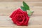 Single Red rose with water drop on wooden background.