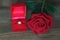 Single red roses and Diamond wedding ring in a red box on wooden background.