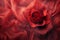 A single red silk rose petal Valentine Day background