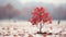 a single red tree in the middle of a snow covered field