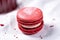 a single red velvet macaron under soft light