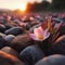 A single resilient flower grows among desolate rock formations