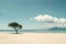 A single, resilient pine tree stands alone on a vast, unspoiled sandy beach against a tranquil sea backdrop