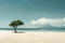 A single, resilient pine tree stands alone on a vast, unspoiled sandy beach against a tranquil sea backdrop