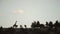 A Single Reticulated Giraffe Standing Next To The Trees In El Karama Lodge In Kenya. -wide