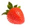 Single ripe strawberry