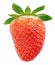 Single ripe strawberry fruit