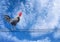 Single rooster standing on electric wires in the morning ,  Landscape nature blue sky with white clouds background