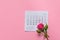 single rose flower lying on calendar page showing february 2020, valentin, valentine card concept, calendar, pink background,