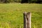 single rotting wooden fence post with barbed wire on a landscape meadow