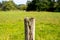 single rotting wooden fence post with barbed wire on a landscape meadow