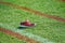 Single running shoe on grass running track with copy space